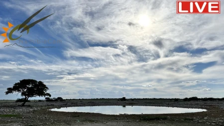 Okaukuejo Waterhole - Etosha National Park - Namibia
