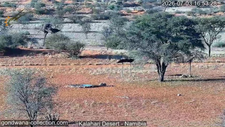 Kalahari Desert - Gondwana Kalahari Park
