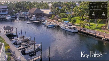 Key Largo Marina Live in Florida Keys